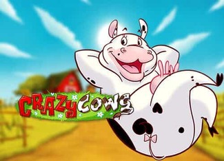 Crazy Cows