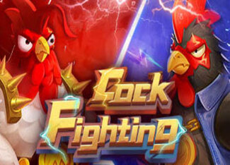 Cockfighting