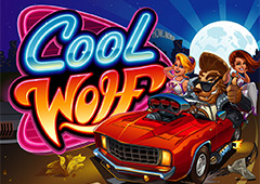 Cool Wolf