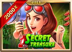 Secret Treasure